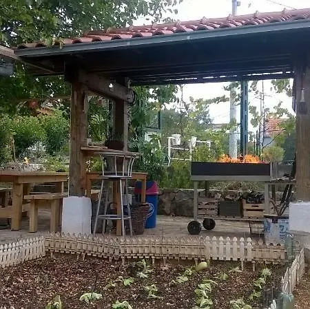 Vranicic *